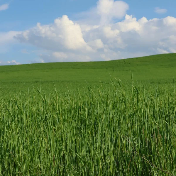 C7娱乐轮盘游戏